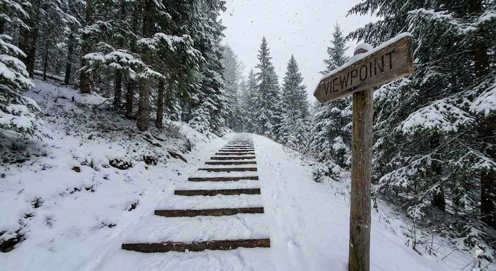 雪が積もった山道の階段を登る視点。先に展望台が見えている。